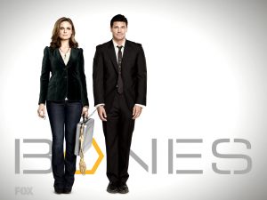 Bones 1