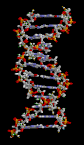 Origin of Forensic Science- DNA